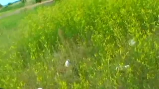 Chirpy babe gets lusty pounding