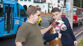 The Muse And The Museum