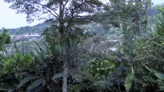 Suckling babes wet beaver