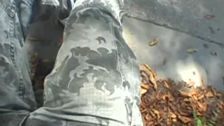 Wild and lewd blowjob session