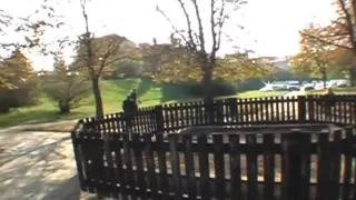 Cock riding among the grasses