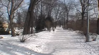 Money for for some fellatio