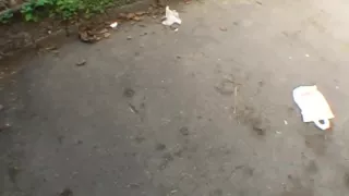 Cash for public blowjob