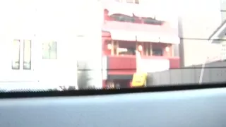 Cock riding among the grasses