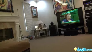 Cutie black girl bares her perfect body