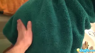 Big oily black tits and ass for you