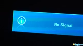 couch action with my hot black girlfriend 