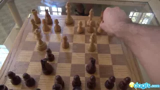 sexy black girlfriend  on a hot strip chess