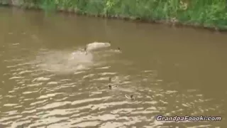 Hot babe makes this mature couple horny