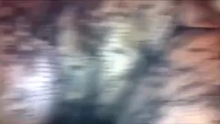 British wife with husbands friend