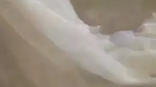 White Chick Gang Bangs Before Wedding