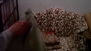 The Cleaning Lady - Breaking and Entering