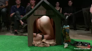 Puppy love Chubby pet turned obedient bitch