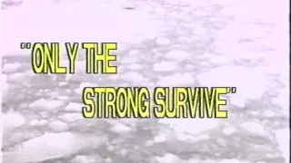 Kinky couple cosy sofa fucking