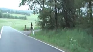 Pick Up a German Bitch Near Village. Creampie