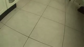 Golden-haarige College-Hottie verwickelt in Oralsex und Küchennoppenfick