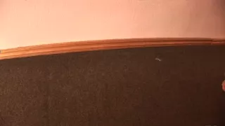 Real college fuckfest from 2 dissolute gals and depraved fellas