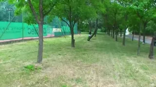 Bargeld für Live-Sex an einem öffentlichen Ort