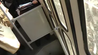 Golden-Haired party beauty likes outdoor fucking