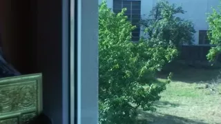 Wild homemade porn ending up with cum on gal.s stomach