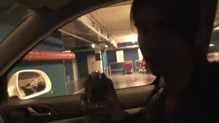 Real dilettante pair enjoys sex in the public place