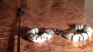 Fetish pair sex porn with toy games and real fucking