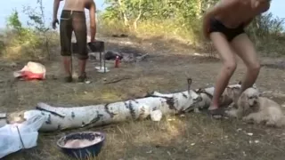 Summer bash with slutty college chicks scene 3