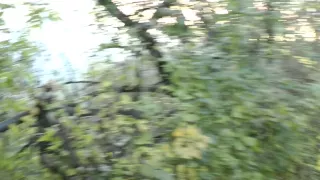 Public adventure with blowjob