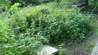 Fetish sex in public