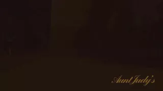 Video from AuntJudys: Nancy Vee