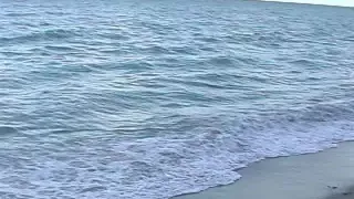 Video from Mytinydick: Two female friends one tiny dick