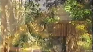 Small tittted ebony seduces man