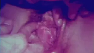 Retro Porn Archive Video: Lets Lick Dick