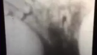 Retro Porn Archive Video: Gretchen