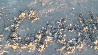 Romantic couple sex in the middle of the thick wood