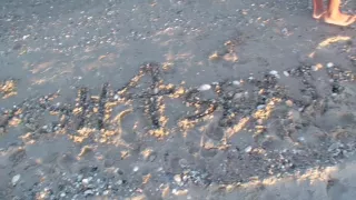 Real couple porn from lovers that just wanted to sunbathe