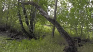 Mouth and pussy of hot girlfriend in lingerie opened for sex