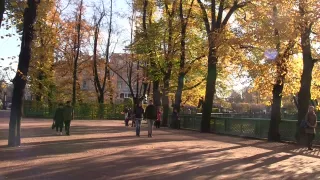 Brunette sexy girl sucking and fucking biggest amateur dick