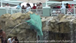 this tropical resort pool party is just warming up