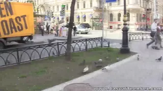 Teeny fucked by American pickuper