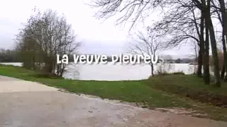 Fat French grannies dicked in all holes