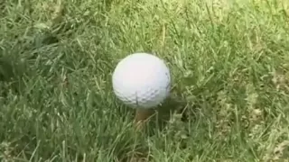 Randy golfer gets a hole-in-one using a dildo club