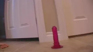 Pink Fake Penis Play