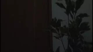 Lustful to my son's wife