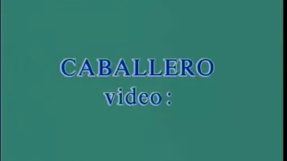 battle of the superstars nina vs ginger