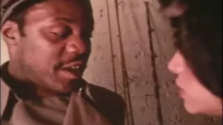 retro vanessa del rio interracial blowjob 