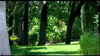 Lesbo Foot Fetish Movie Scene three Part 1 of three By HxCxPete