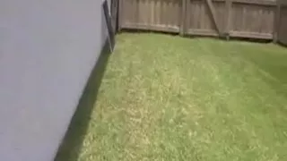 hot mommy and boyfrend