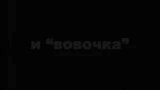 The St. Petersburg Tourism Board