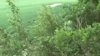 User From Rostock Fuck mother I'd like to fuck